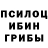 Конопля Bruce Banner Mubinabegim Musaxonova