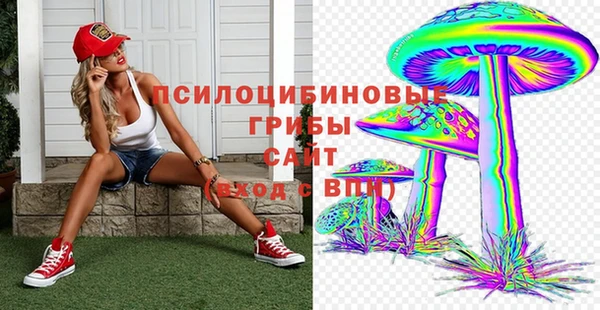 эйфоретик Беломорск