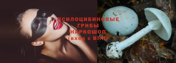 твердый Белокуриха