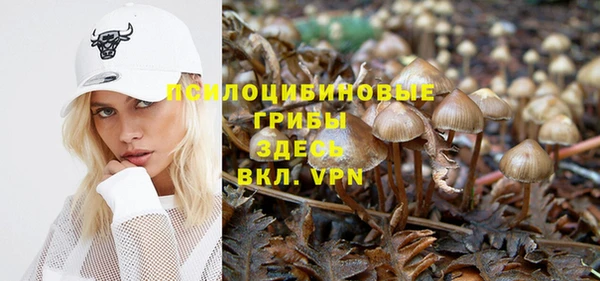 эйфоретик Беломорск