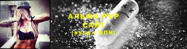 эйфоретик Беломорск